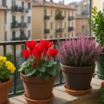Quali sono le piante da balcone che resistono tutto l’anno? Le varietà che danno colore senza fatica