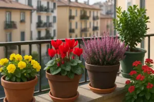 Quali sono le piante da balcone che resistono tutto l’anno? Le varietà che danno colore senza fatica