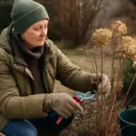 Quali interventi di manutenzione sono indispensabili a fine inverno? Prepara il giardino alla ripresa primaverile senza sciupare le piante